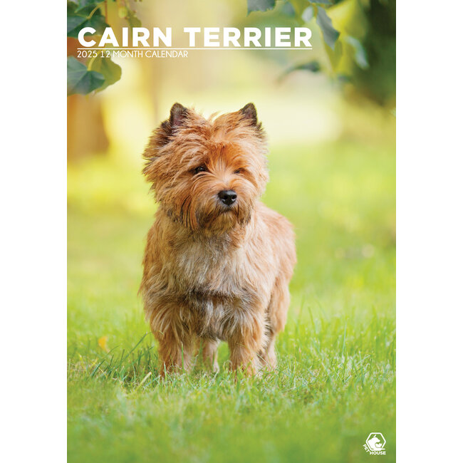 Cairn Terrier A3 Calendar 2025