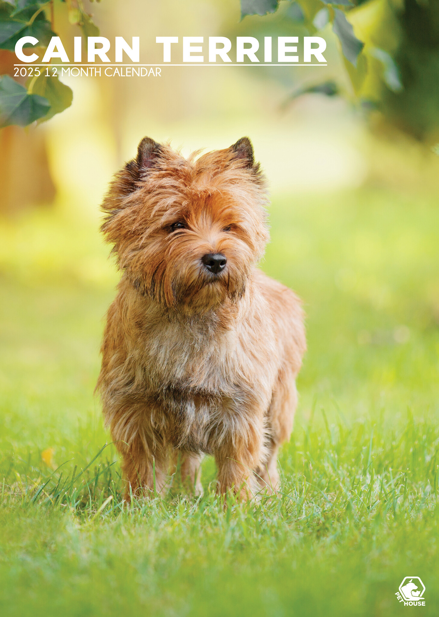 Cairn Terrier A3 Kalender 2025