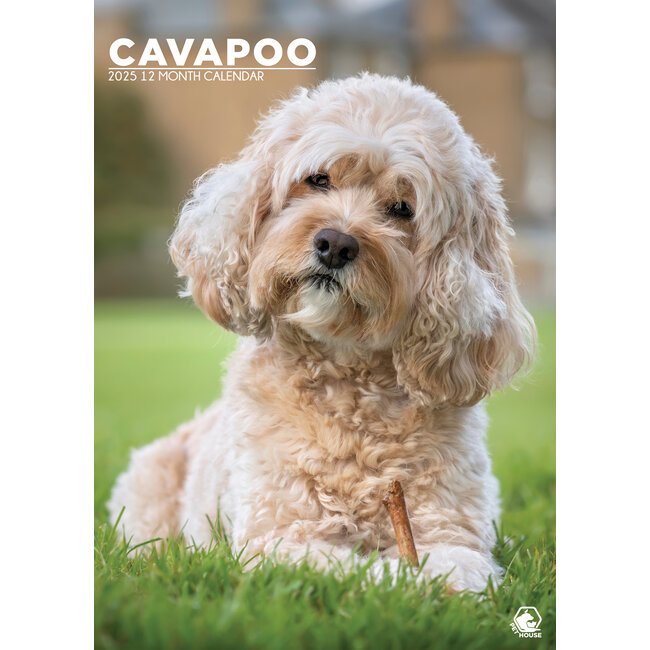 Cavapoo A3 Calendar 2025