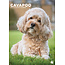 CalendarsRUs Calendario Cavapoo A3 2025