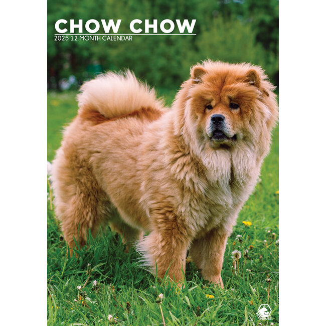 Chow Chow A3 Calendar 2025