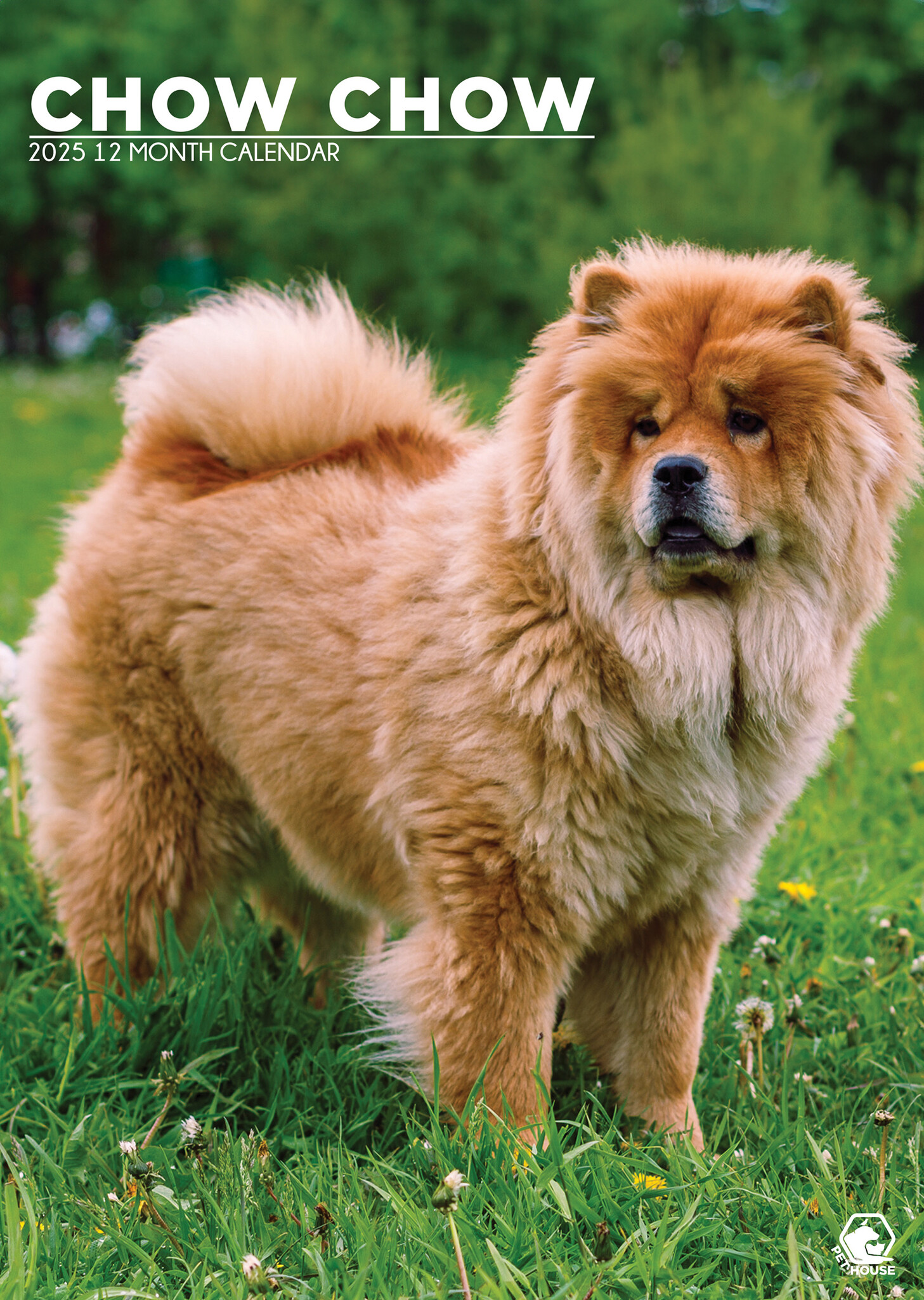 Chow Chow A3 Kalender 2025