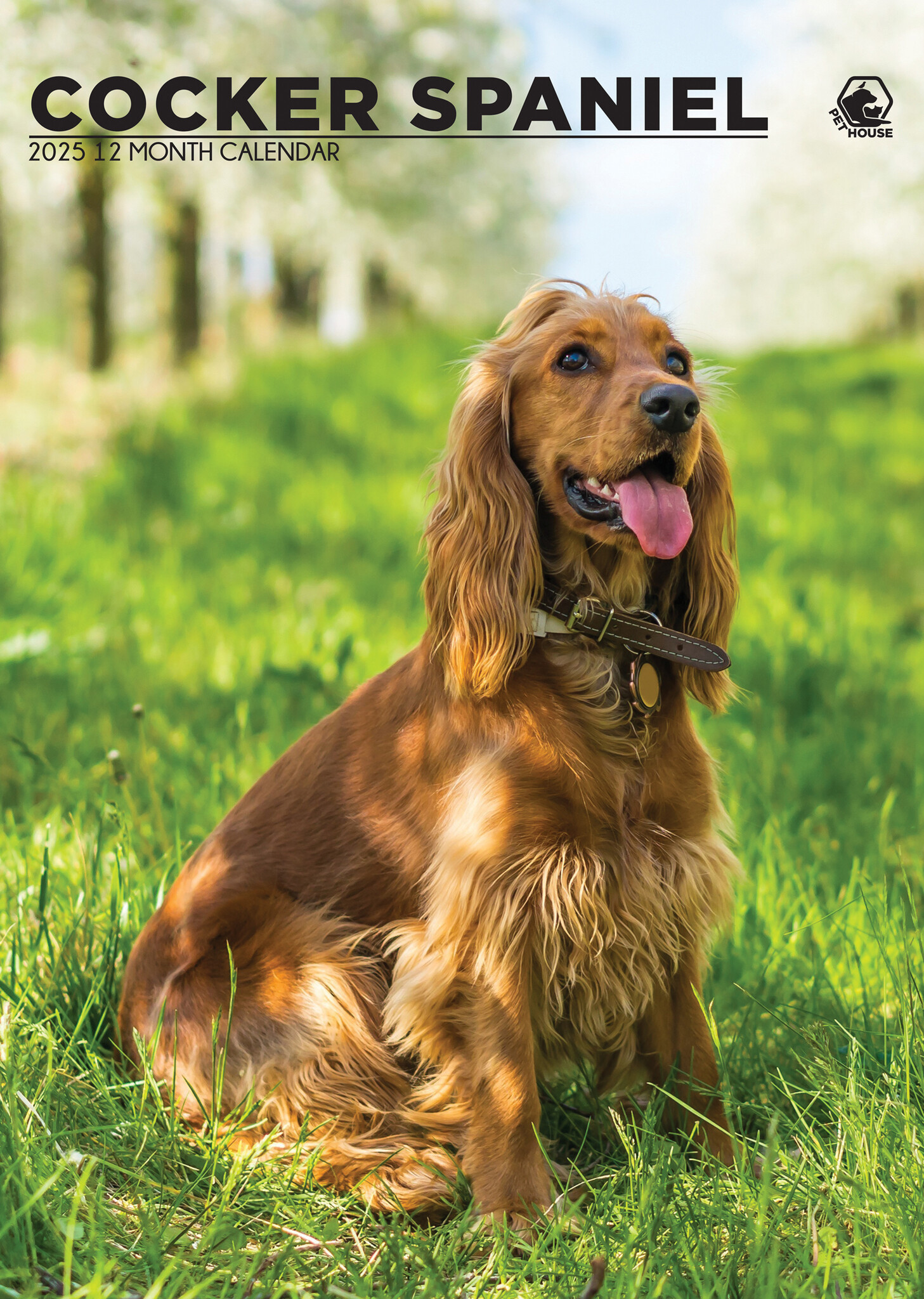 Buy English Cocker Spaniel A3 Calendar 2025? Order easily