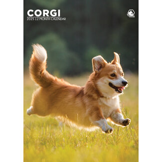 CalendarsRUs Welsh Corgi A3 Calendrier 2025