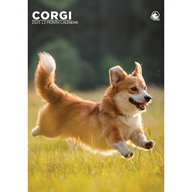 CalendarsRUs Welsh Corgi A3 Kalender 2025