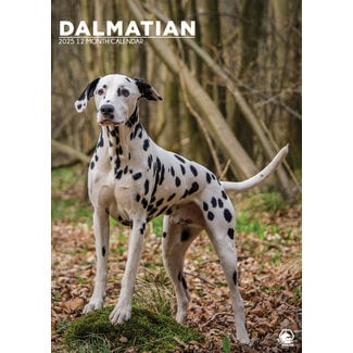 CalendarsRUs Dalmatien Calendrier A3 2025