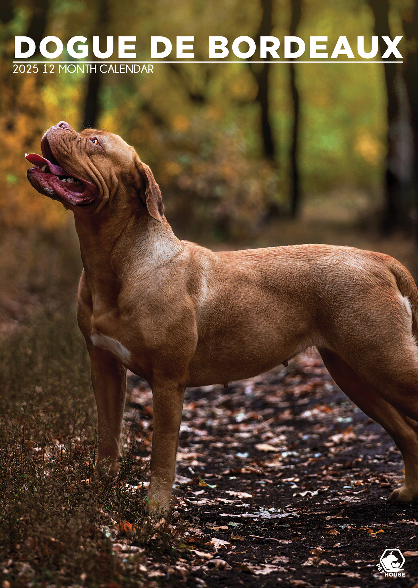 Bordeaux Dog A3 Kalender 2025