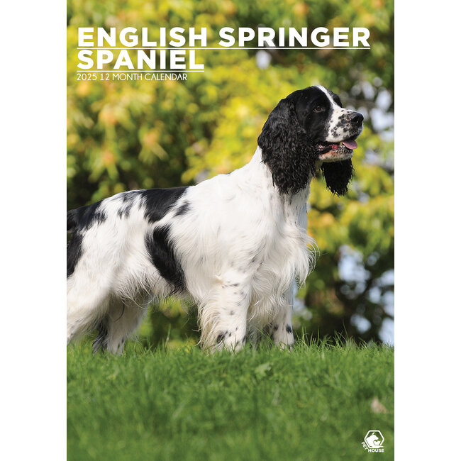 English Springer Spaniel A3 Calendar 2025
