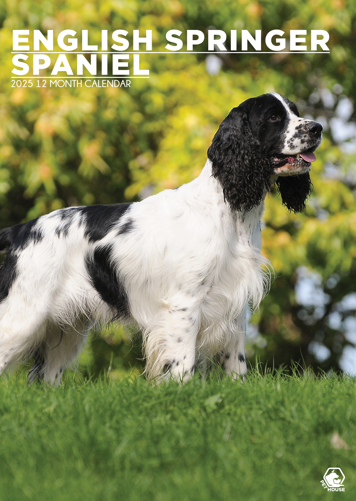 Engelse Springer Spaniel A3 Kalender 2025