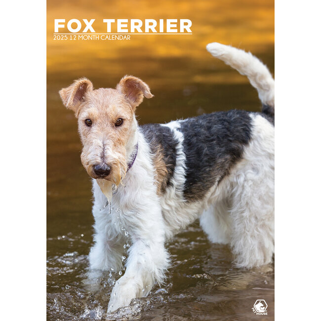 Calendario A3 Fox Terrier 2025