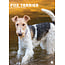 CalendarsRUs Fox Terrier A3 Kalender 2025