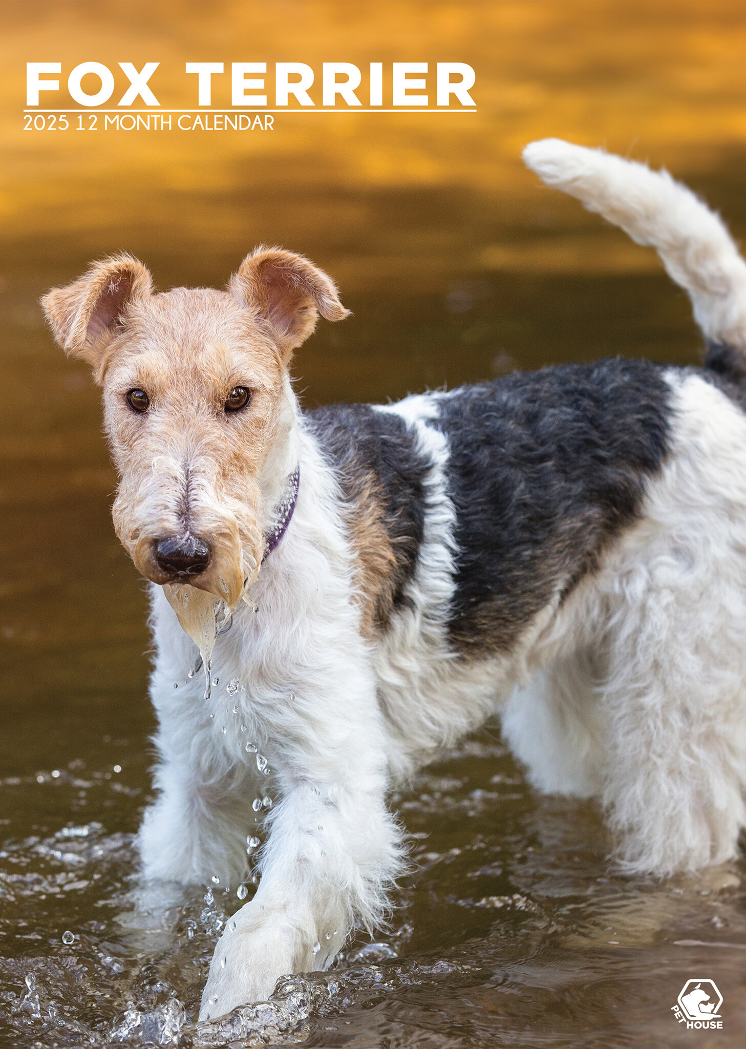 Fox Terrier A3 Kalender 2025