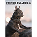 CalendarsRUs Bulldog français Calendrier A3 2025