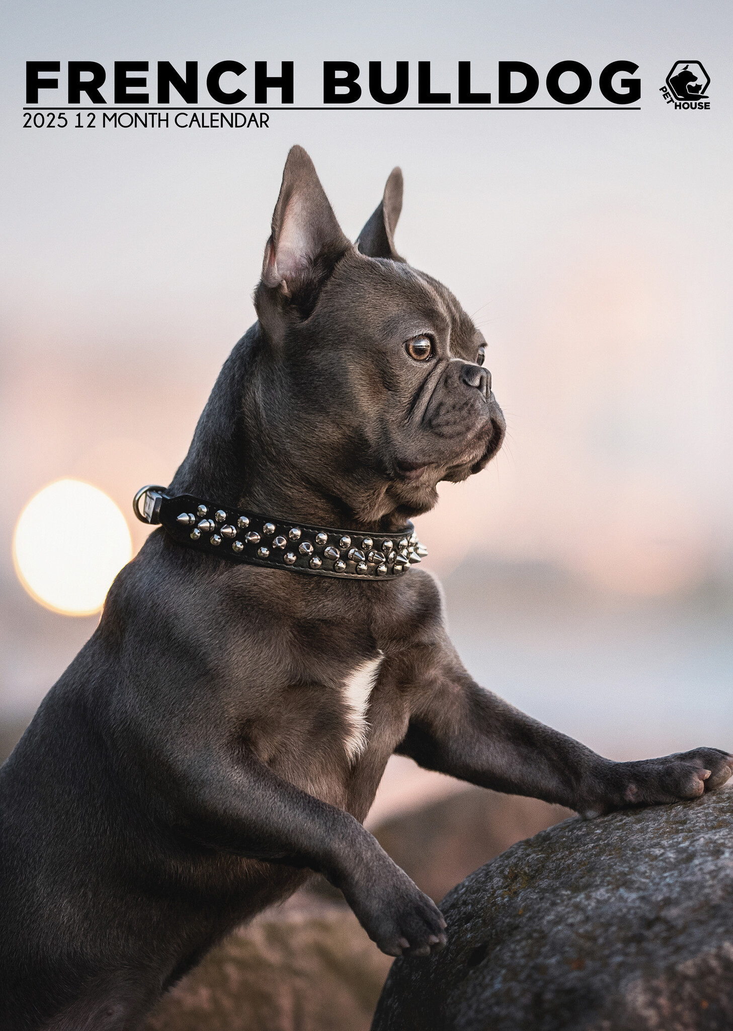 Franse Bulldog A3 Kalender 2025