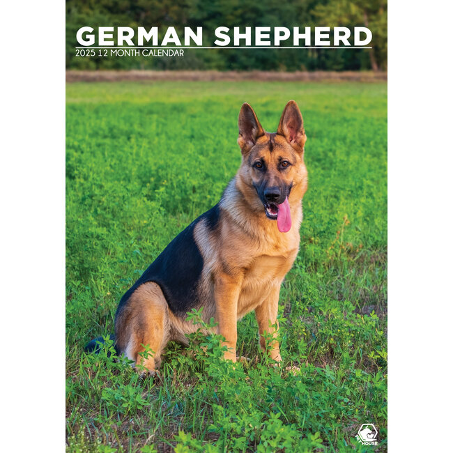 German Shepherd A3 Calendar 2025