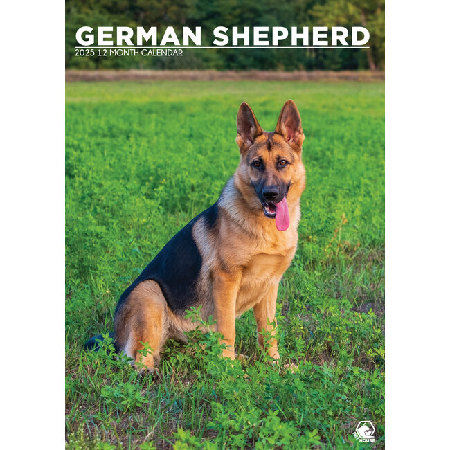 Buying German Shepherd A3 Calendar 2025? Order online quickly and