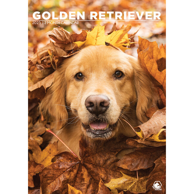 Calendario A3 Golden Retriever 2025