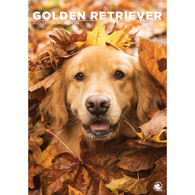 Golden Retriever Calendario A3 2025