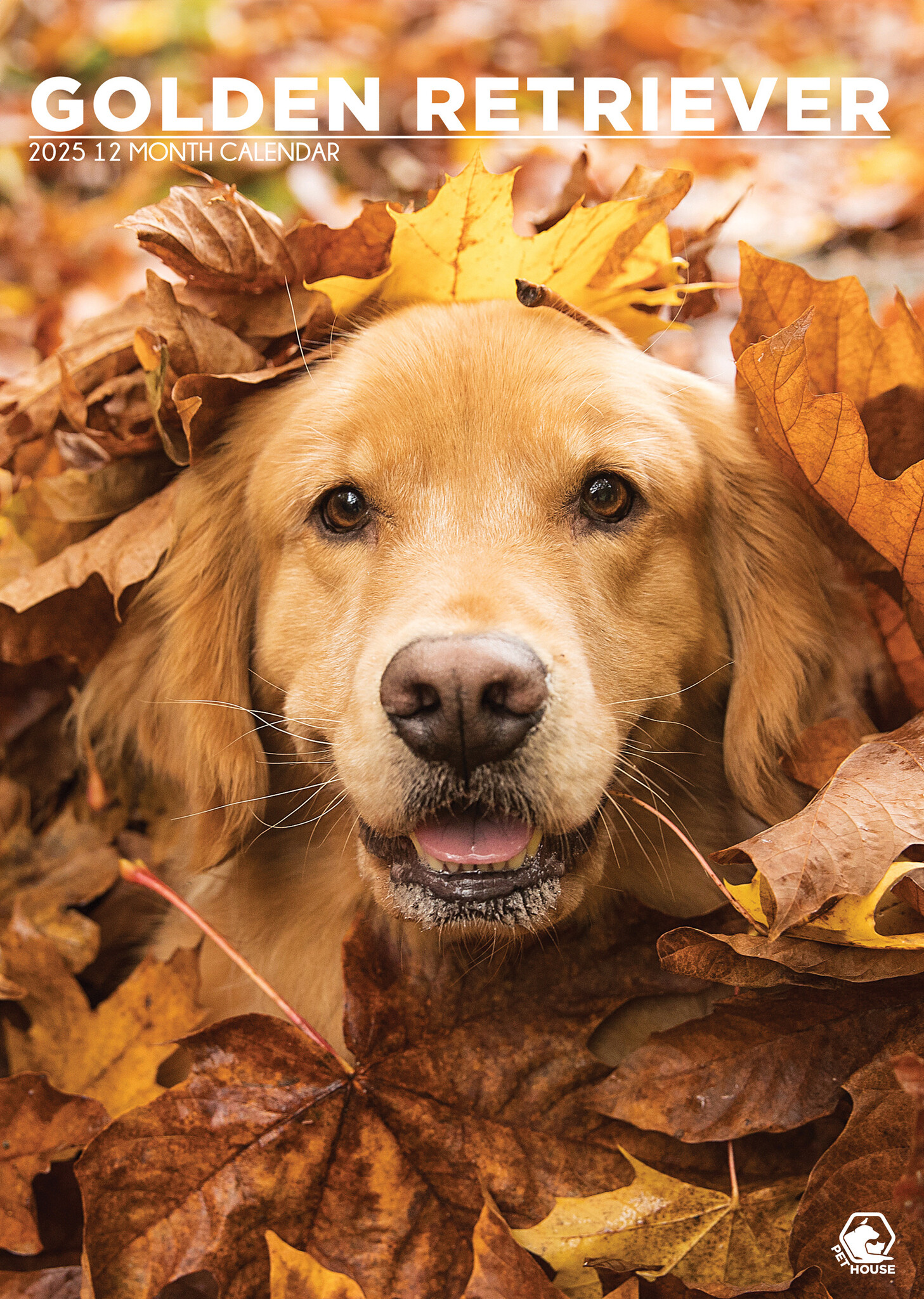 CalendarsRUs Golden Retriever A3 Kalender 2025 Kalenderwinkel.nl