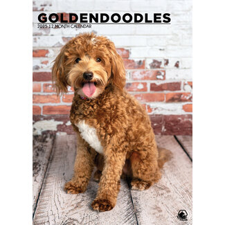 CalendarsRUs Calendario A3 Goldendoodle 2025