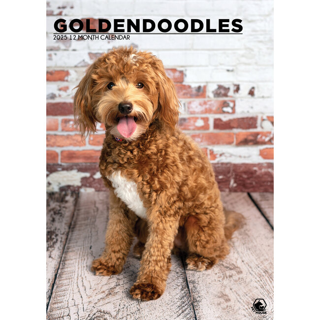 Goldendoodle A3 Calendar 2025