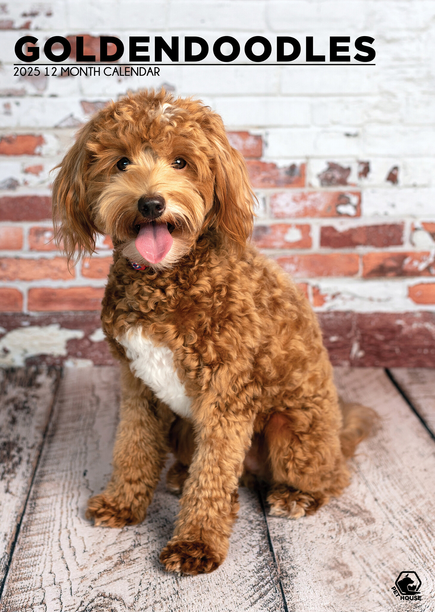 Goldendoodle A3 Kalender 2025