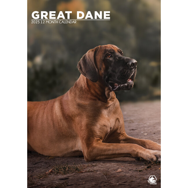 Great Dane A3 Calendar 2025