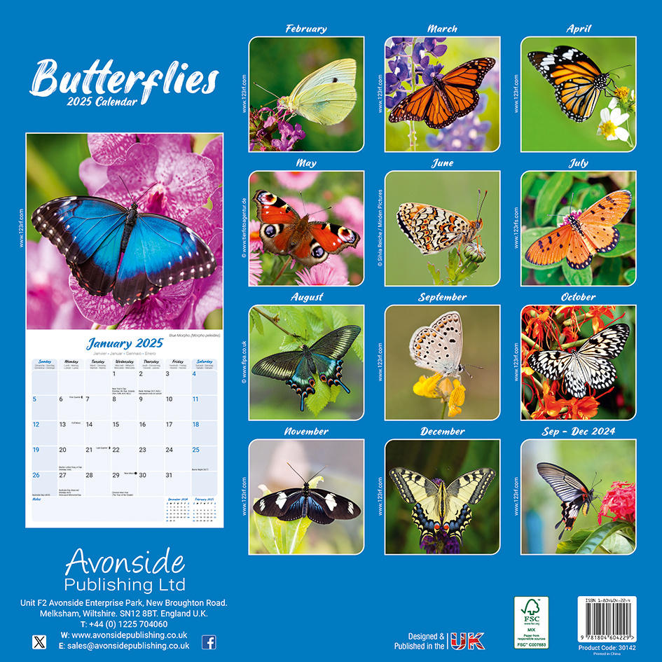 Buy Butterfly Calendar 2025 simply order online Kalenderwinkel.nl