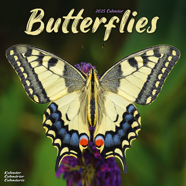 Buy Butterfly Calendar 2025 simply order online Kalenderwinkel.nl