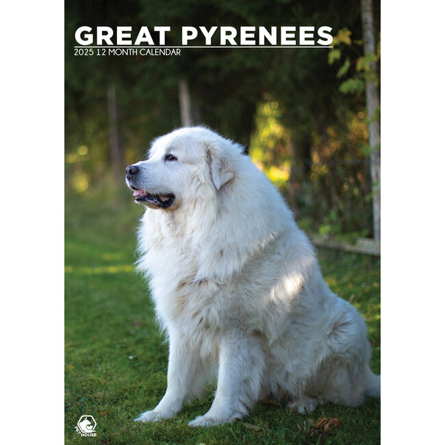 Pyreneese Berghond A3 Kalender 2025