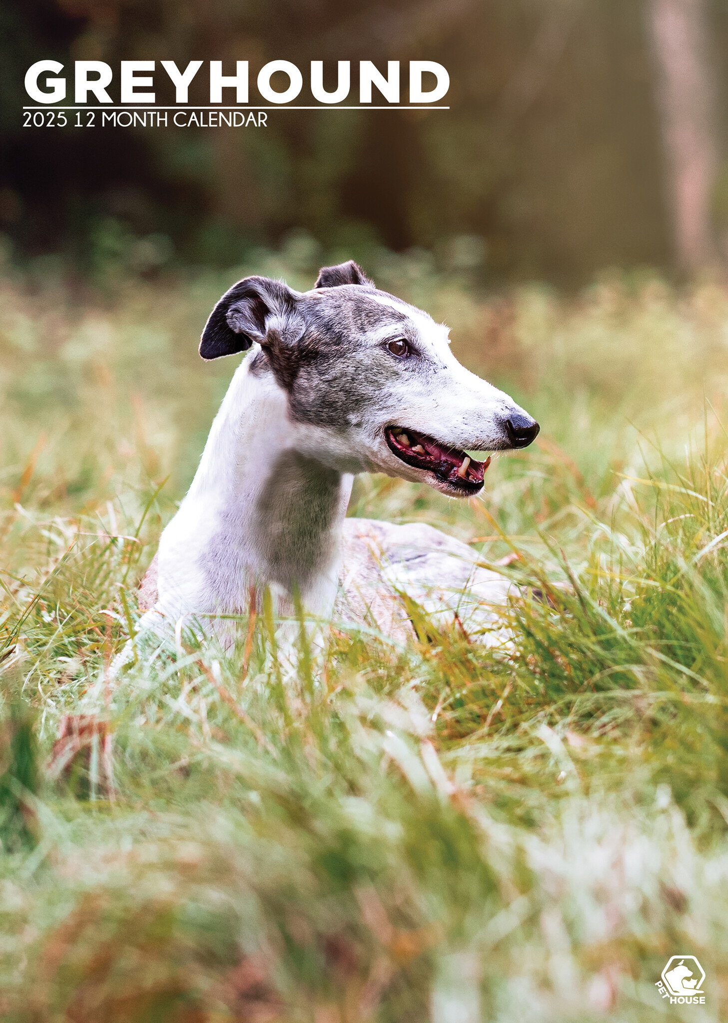 Buy Greyhound A3 Calendar 2025? Order online quickly and easily
