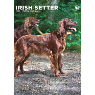 CalendarsRUs Irish Setter A3 Calendar 2025