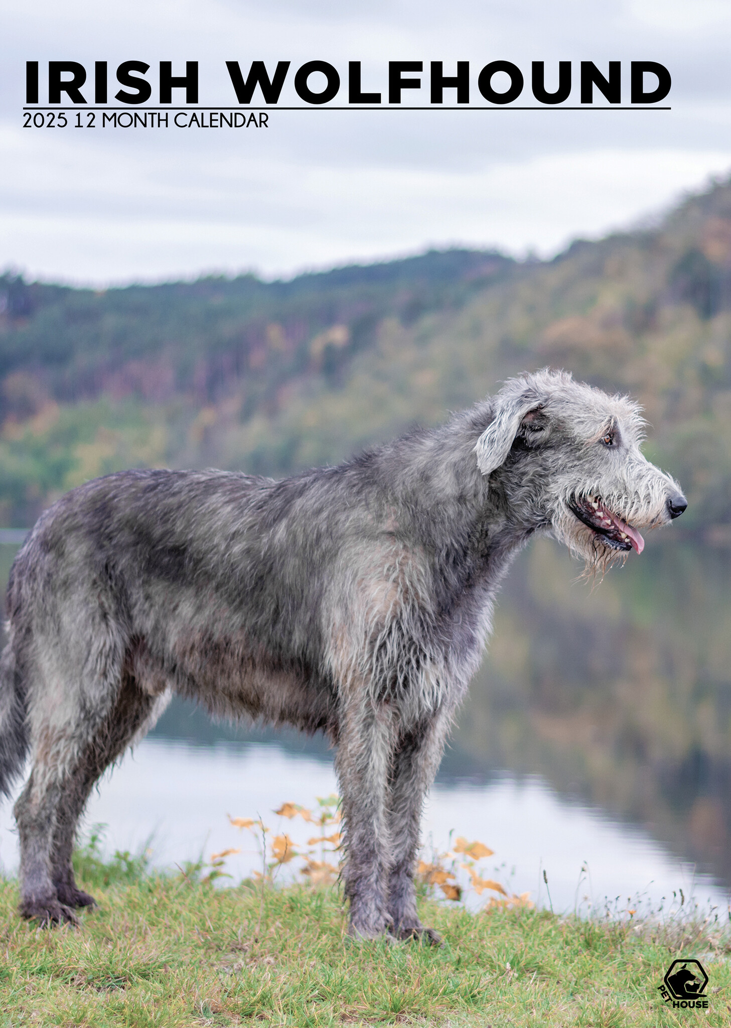 Ierse Wolfshond A3 Kalender 2025