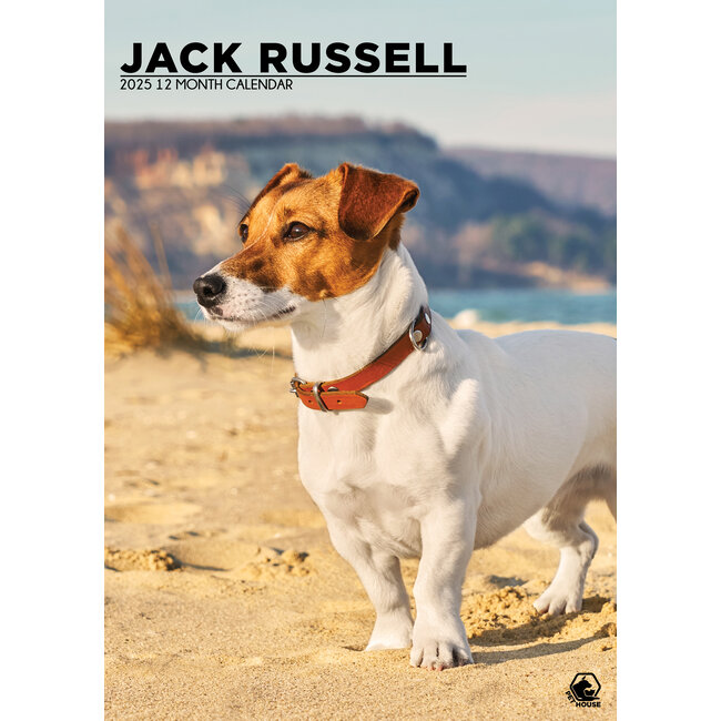 CalendarsRUs Jack Russel Terrier A3 Calendar 2025