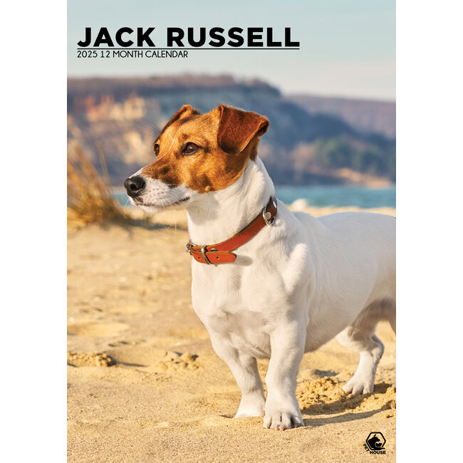 Jack Russel Terrier A3 Calendar 2025