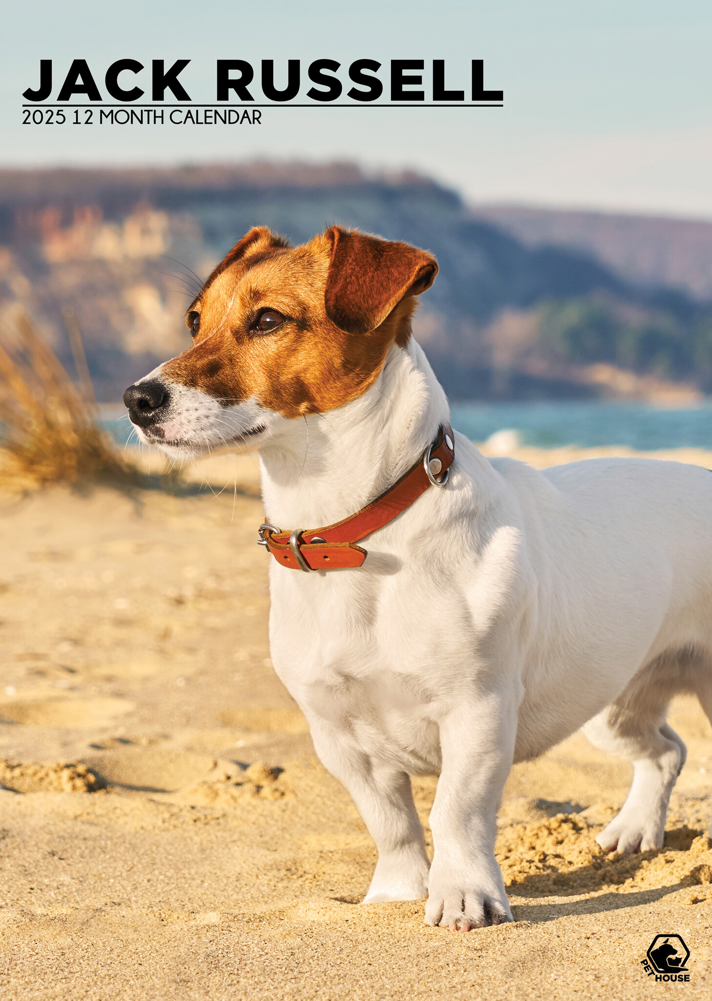Jack Russel Terrier A3 Kalender 2025
