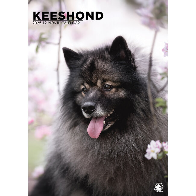 Keeshond A3 Calendar 2025