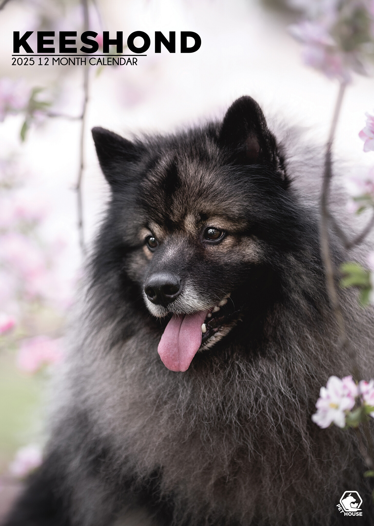 Keeshond A3 Kalender 2025