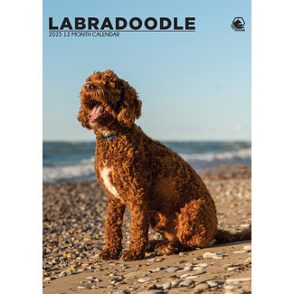 CalendarsRUs Calendario A3 Labradoodle 2025