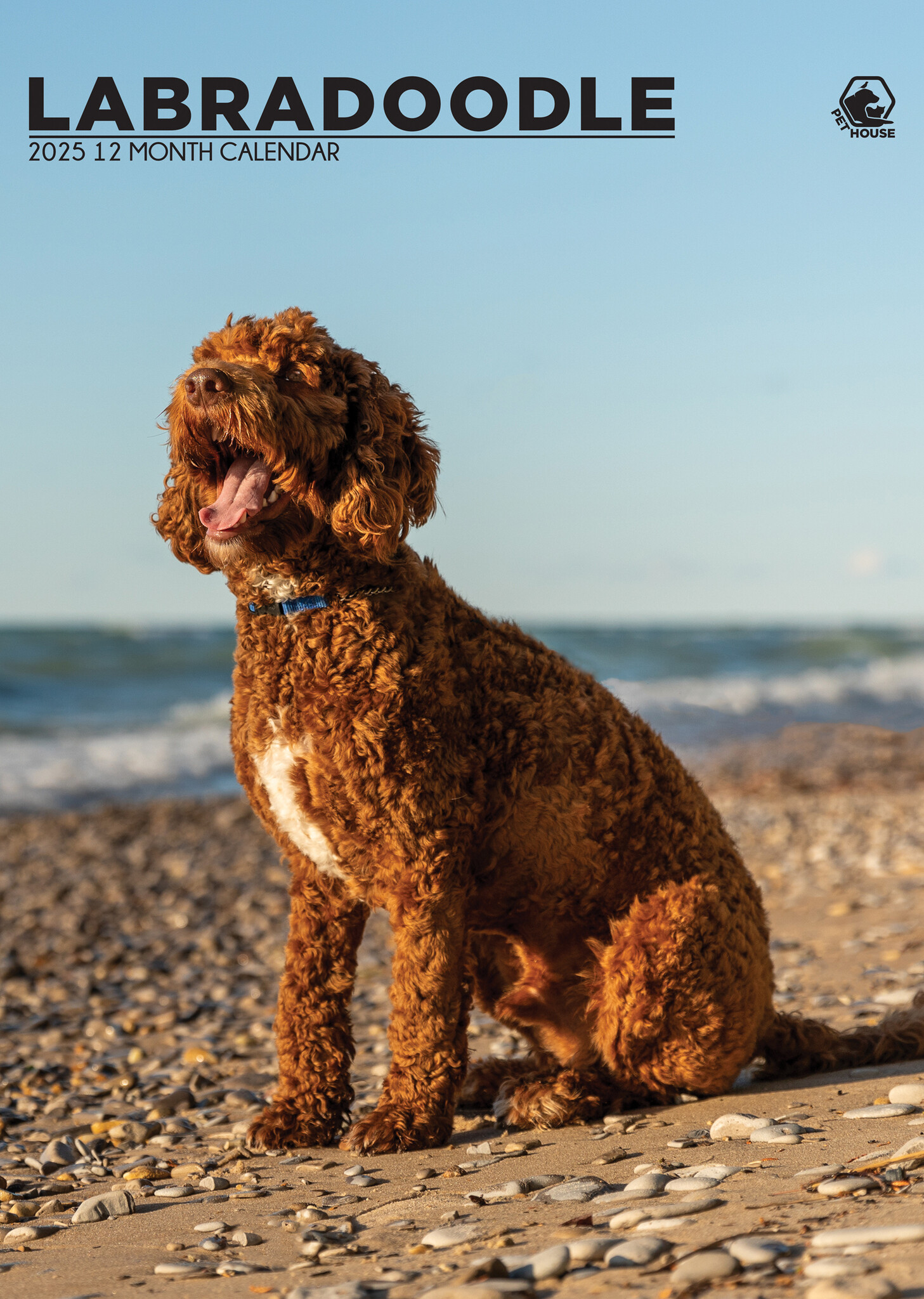 Labradoodle A3 Kalender 2025