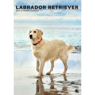 CalendarsRUs Calendario A3 Labrador Retriever biondo 2025