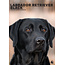 CalendarsRUs Labrador Retriever Negro A3 Calendario 2025