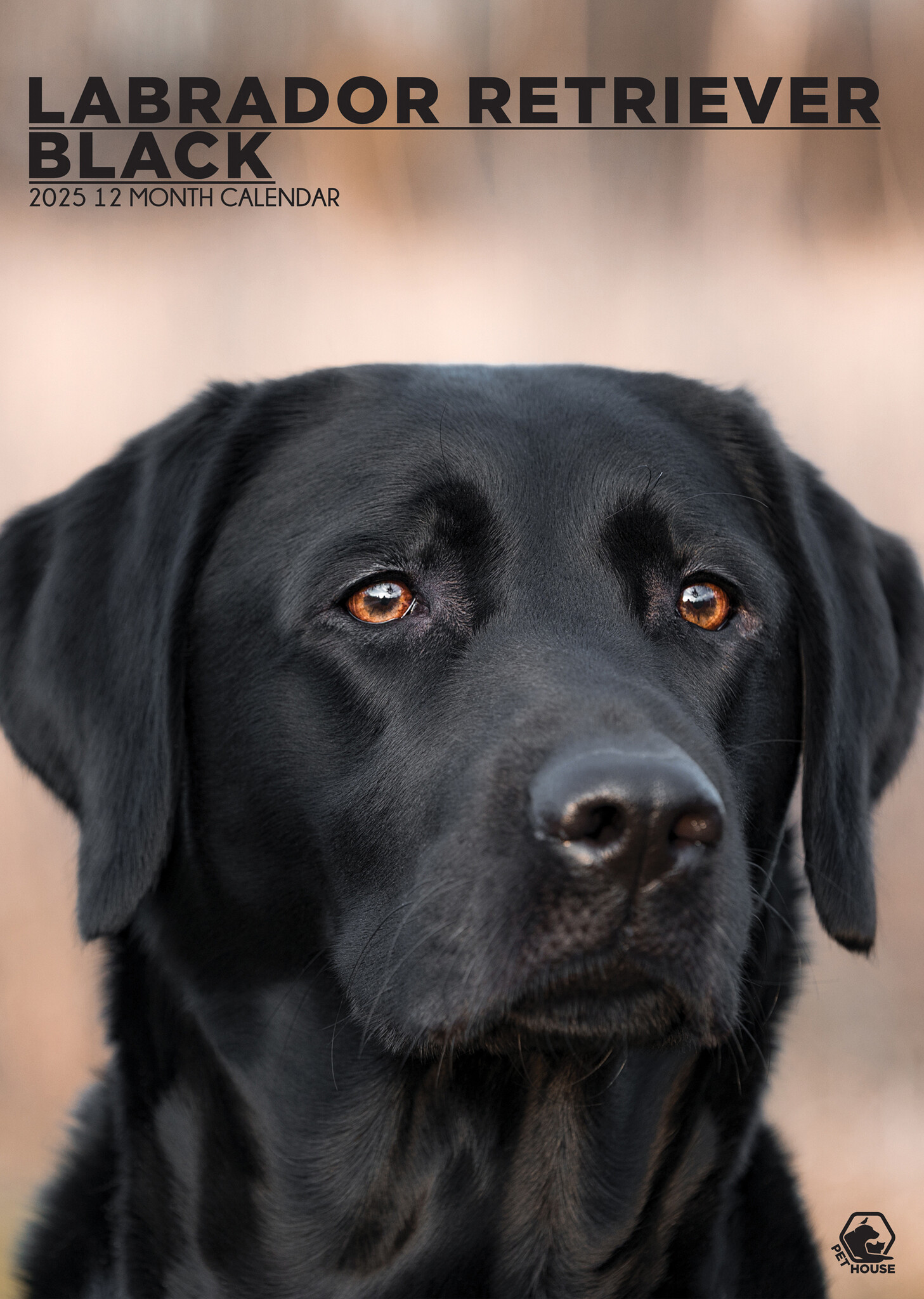 Labrador Retriever Zwart A3 Kalender 2025