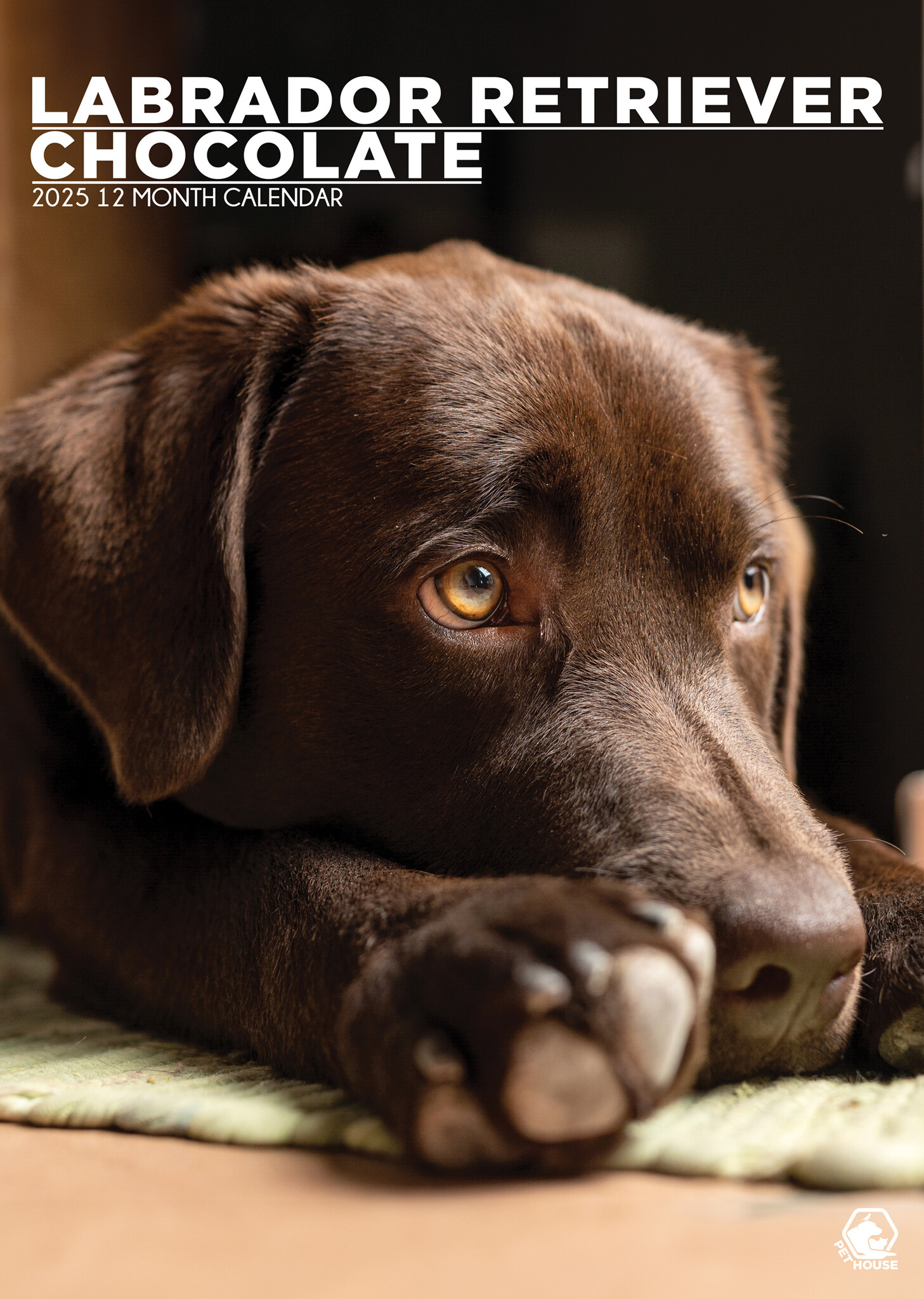 Labrador Retriever Bruin A3 Kalender 2025