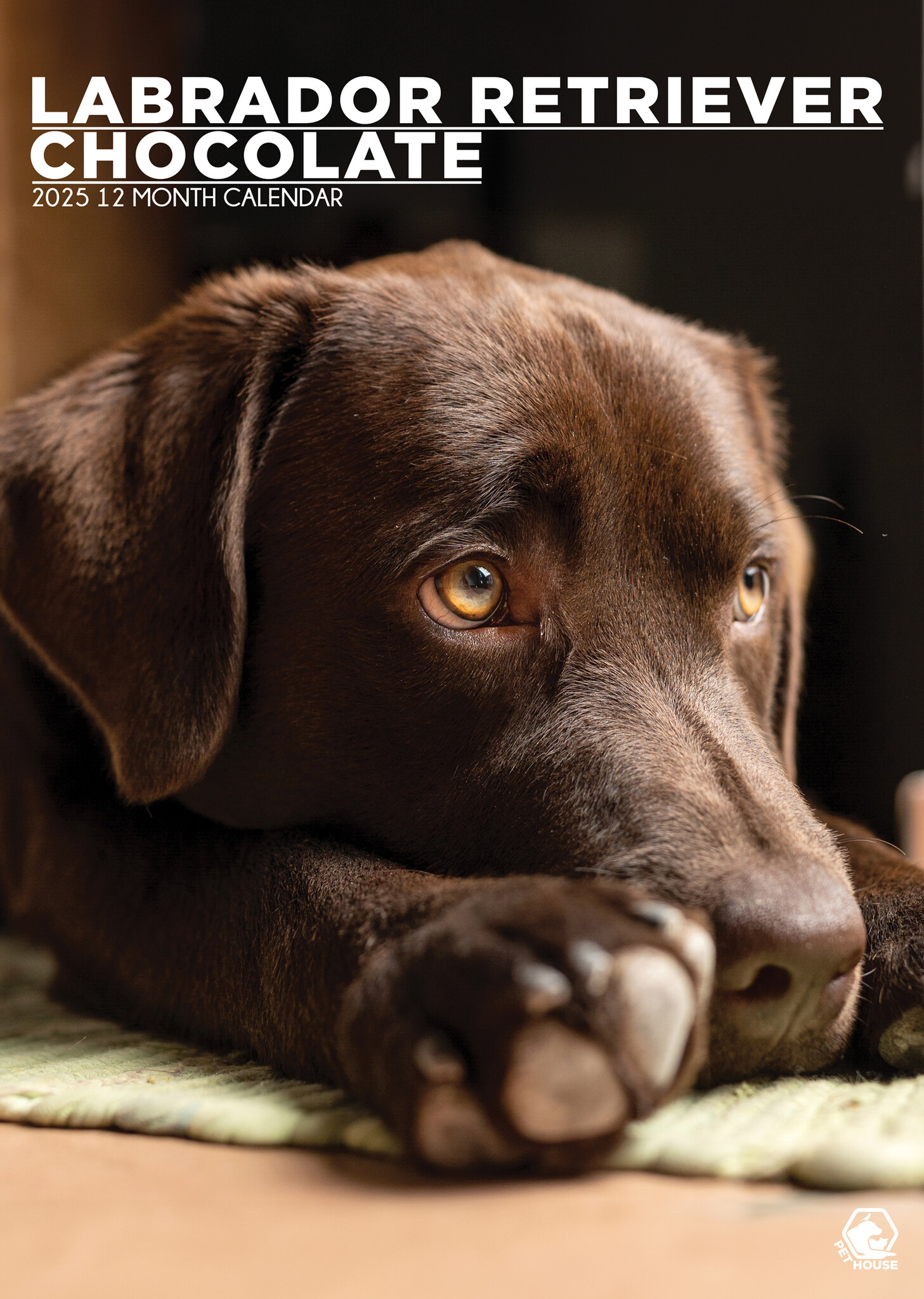 Labrador Retriever Bruin A3 Kalender 2025 Kopen? Bestel eenvoudig