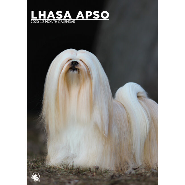Lhasa Apso A3 Calendar 2025