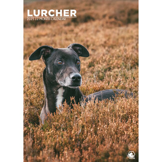 CalendarsRUs Calendario Lurcher A3 2025