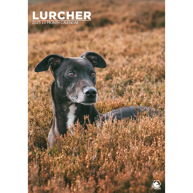 Lurcher A3 Calendar 2025