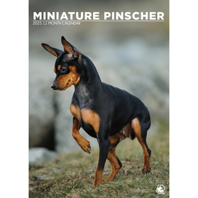 Calendario A3 Miniature Pinscher 2025