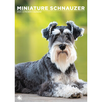 CalendarsRUs Miniature Schnauzer A3 Calendar 2025